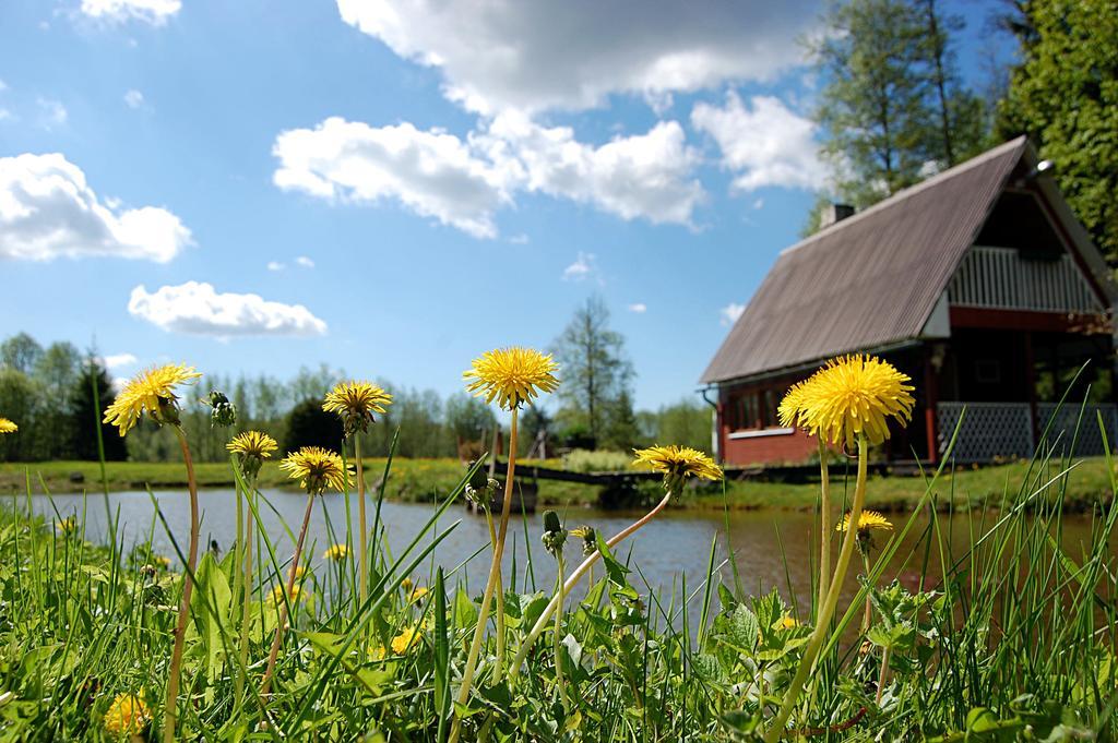 Affittacamere Rehe Turismitalu Kuijõe Esterno foto